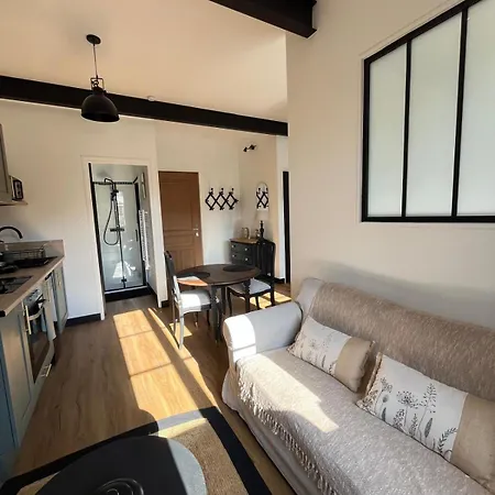 Le Ptit Mousse Apartment *